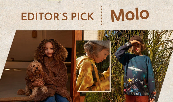 Editor's pick of the month - MOLO!