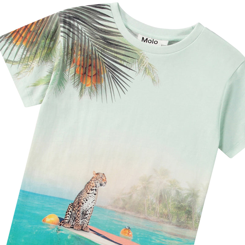 Leo On Surf Raul T-shirt