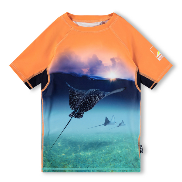 Into The Sunset Rash Vest