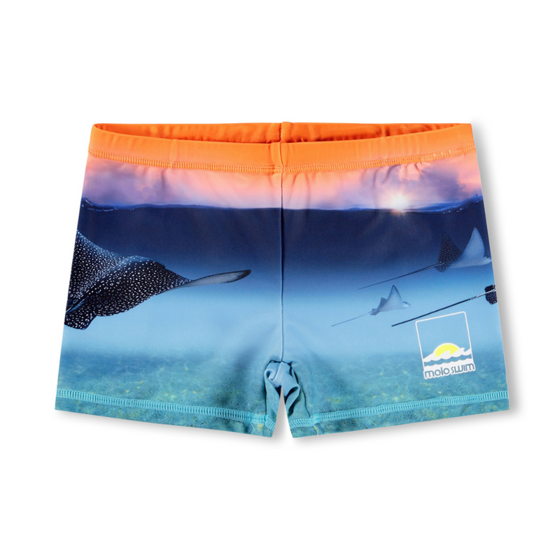 Into The Sunset Trunks