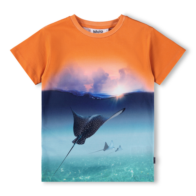 Into The Sunset T-shirt