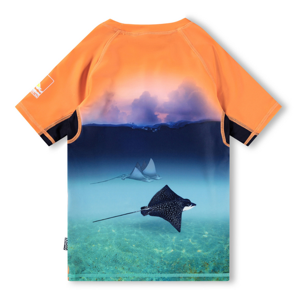Into The Sunset Rash Vest
