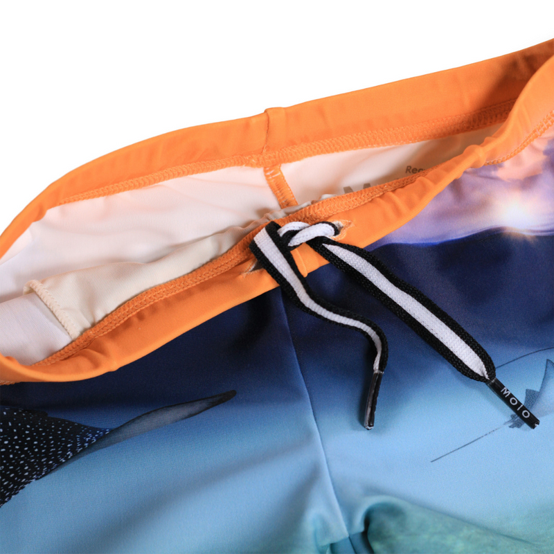 Into The Sunset Trunks