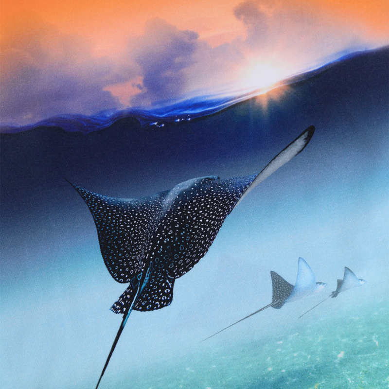 Into The Sunset T-shirt