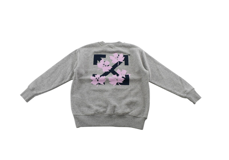 Light Grey Sweatshirt