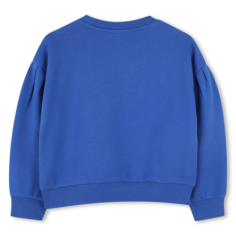 Blue Sweatshirt