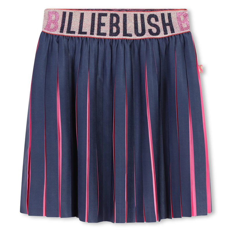 Navy Pleated Skirt