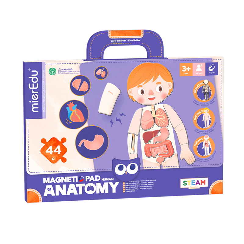 Magnetic Pad - Anatomy