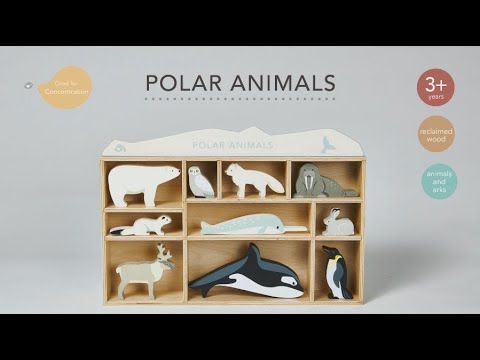 1 Piece Polar Animals Display Shelf Set
